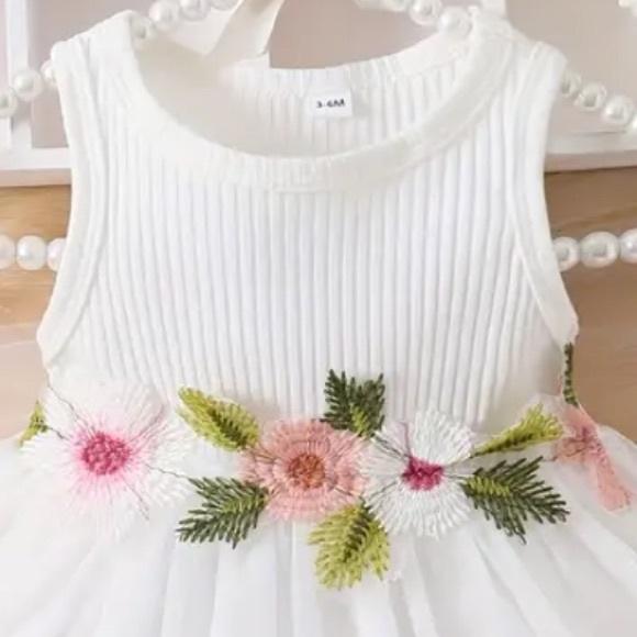 Infant Baby Girl’s Pink Embroidered Sleeveless White Dress (3-6m) NWT - Picture 2 of 7